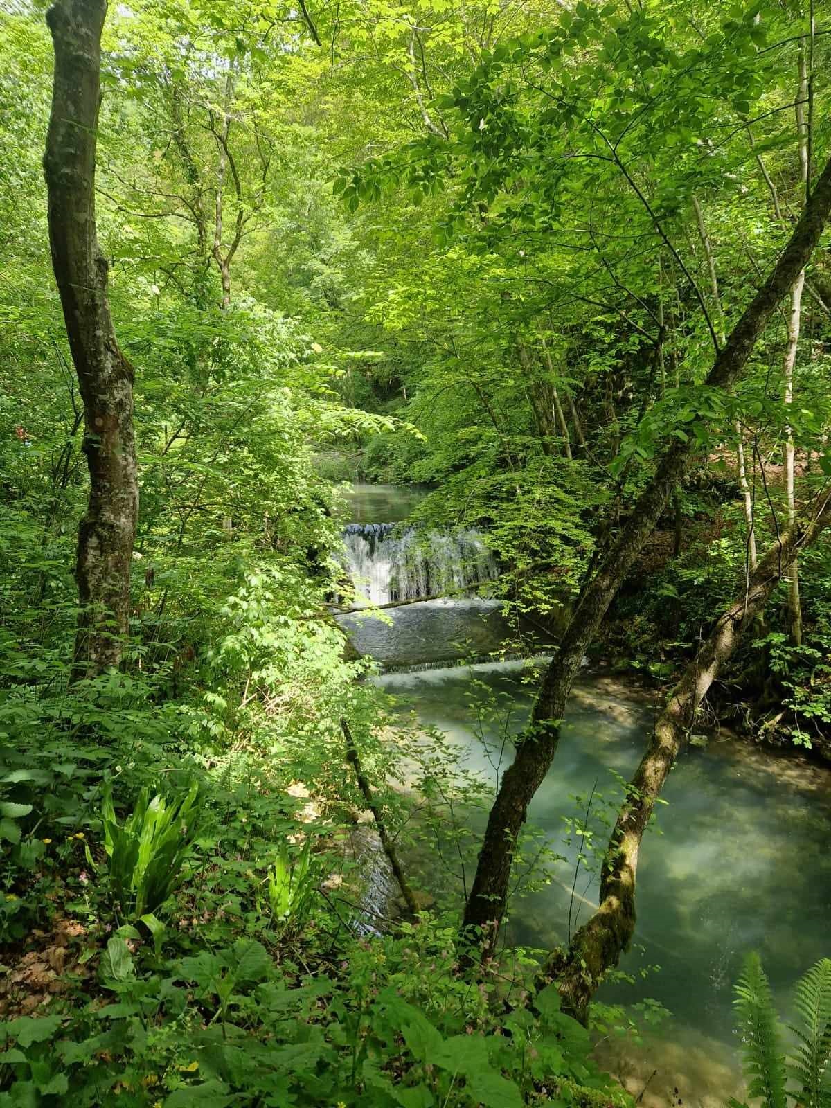 Picture showing a waterfall and river as symbols of “natural flow” to highlight the importance of demonstrating the ability to keep going as a way for test-takers to improve their Fluency and Coherence band score in the IELTS Speaking Test